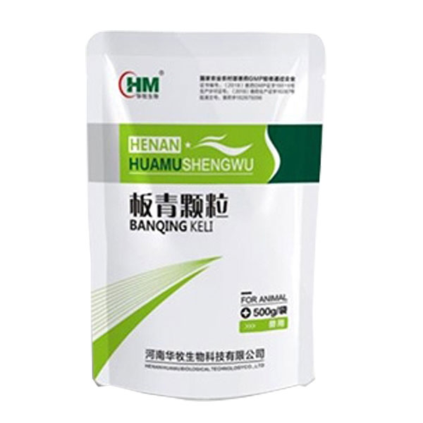 壹号娱乐兽药板青颗粒