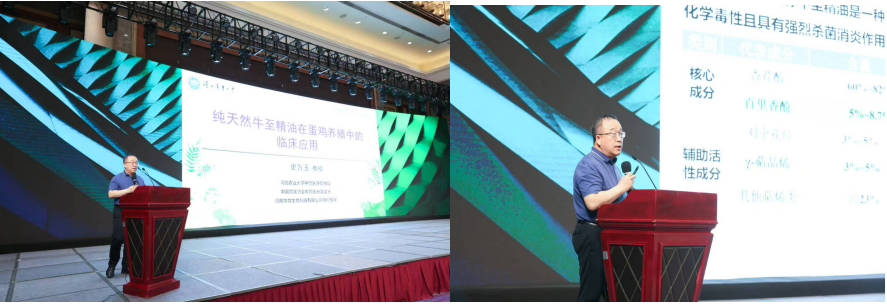 壹号娱乐·(中国游)官方网站 - app下载